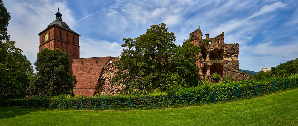 Гайдельбергский замок... - Dmitriy Dikikh