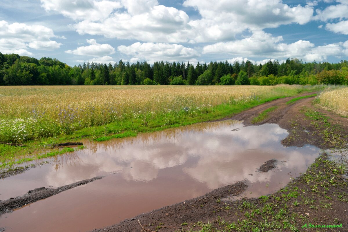 Про июль... - Андрей Заломленков