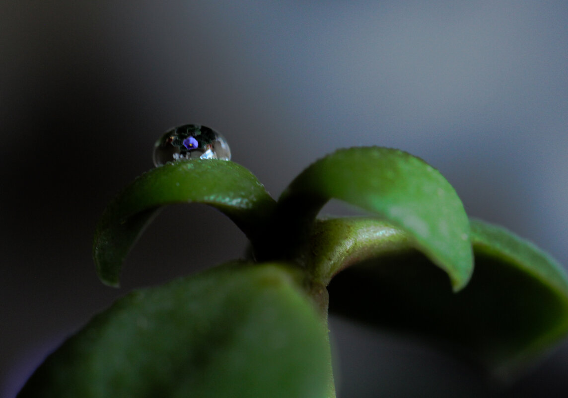 Дружба. Часть вторая. - Галина 