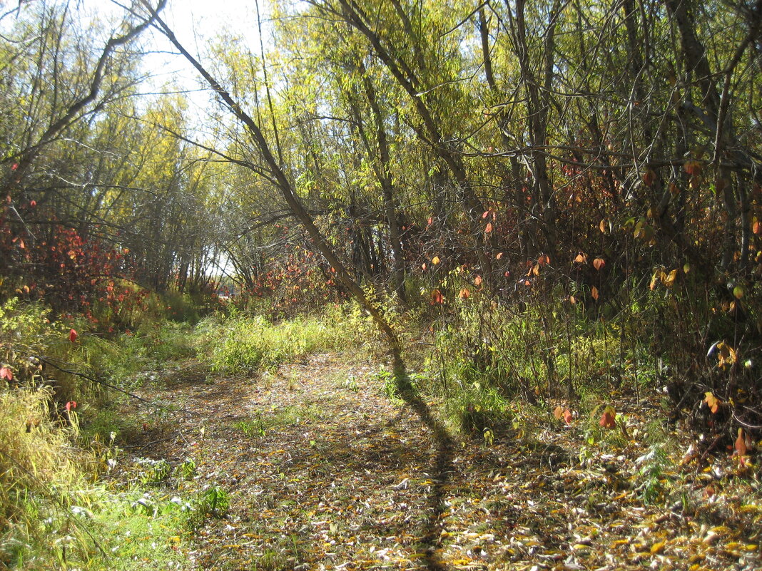 У протоки - Anna Ivanova