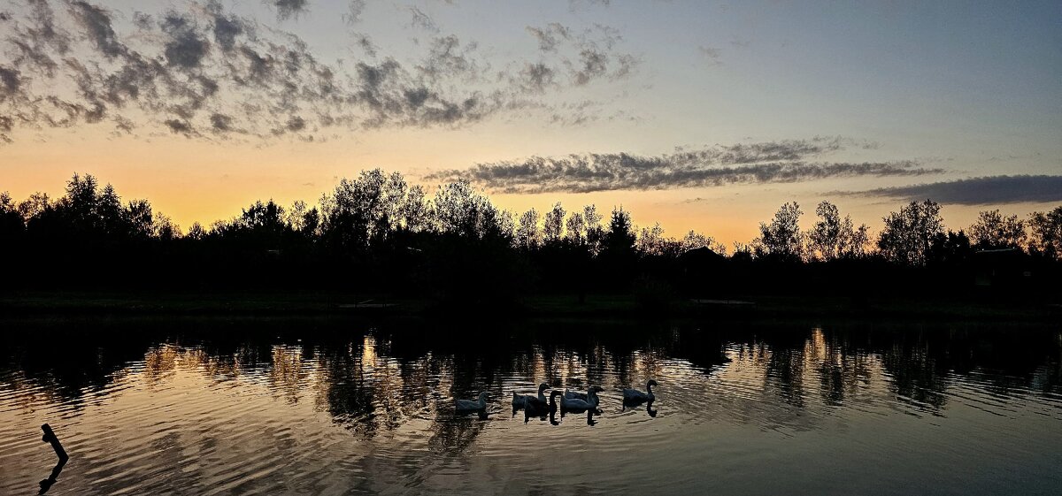 Закат на пруду - Михаил Свиденцов