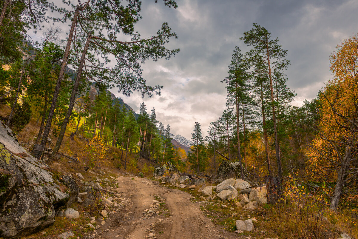 *** - Аnatoly Gaponenko