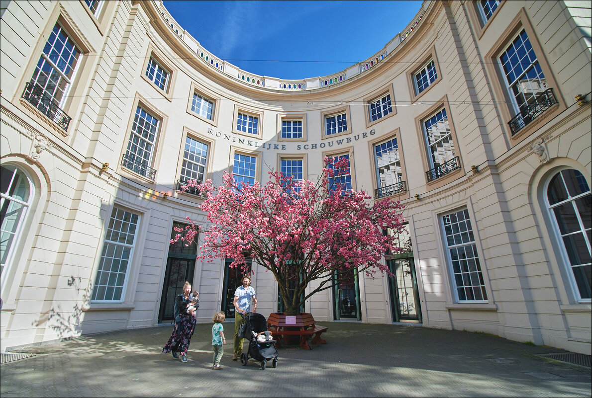 Королевский театр в Гааге. - Валерий Готлиб