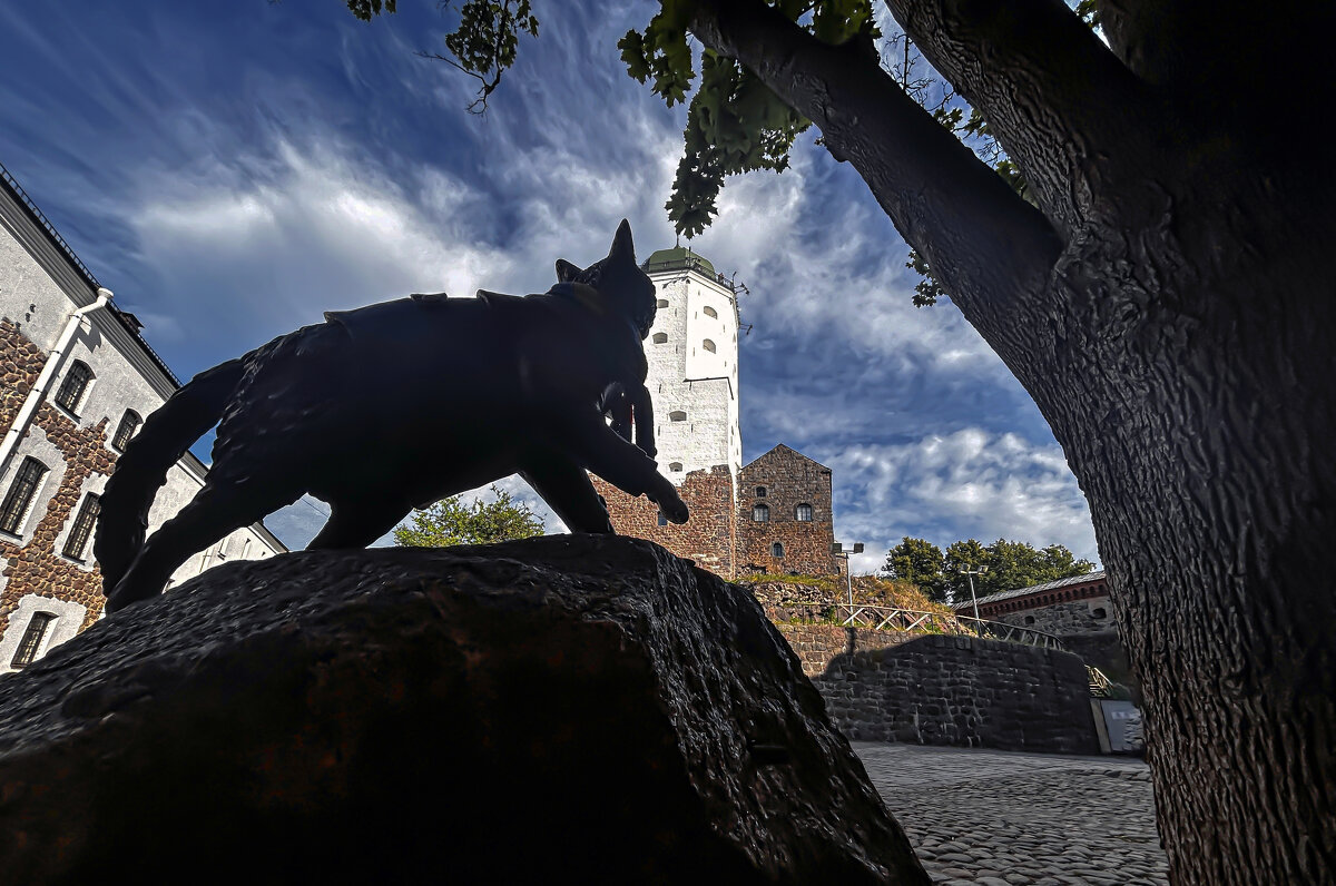 Кат который гуляет сам по себе - Дмитрий Иванов