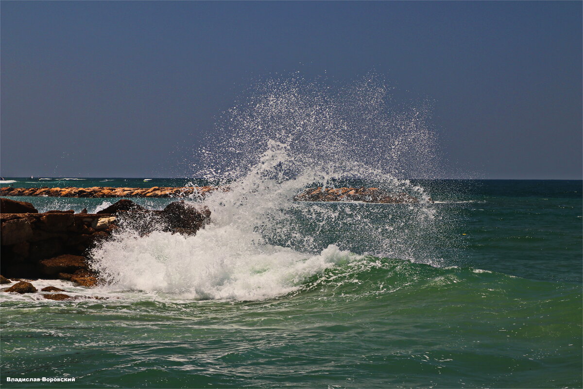 Хайфа 2025 - Владислав Воровский 