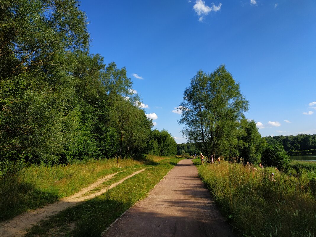 Потому, что лето - Андрей Лукьянов