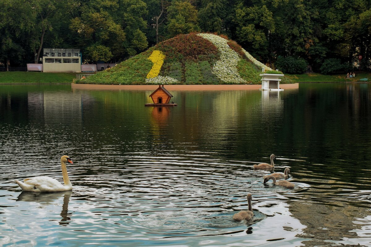 Лето на Патриарших прудах. - Татьяна Помогалова Лето на Патриарших прудах. - Татьяна Помогалова