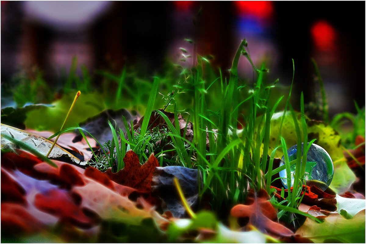 Травки_Nikon D5200_60mm - Станислав Лебединский Травки_Nikon D5200_60mm - Станислав Лебединский