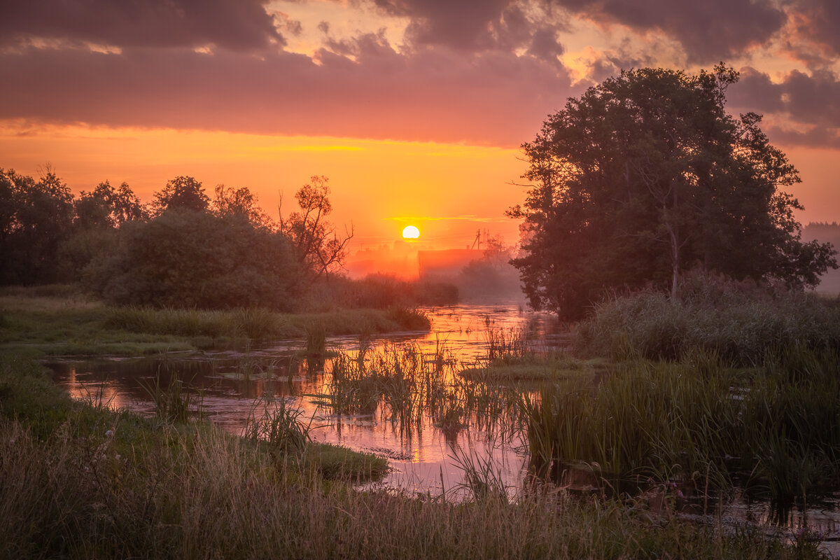 **** - Елизавета .