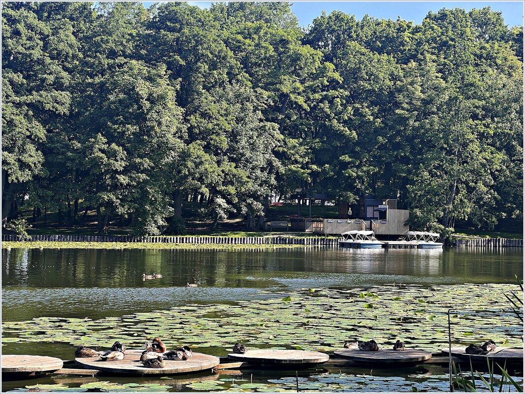 Лето. - Валерия Комова