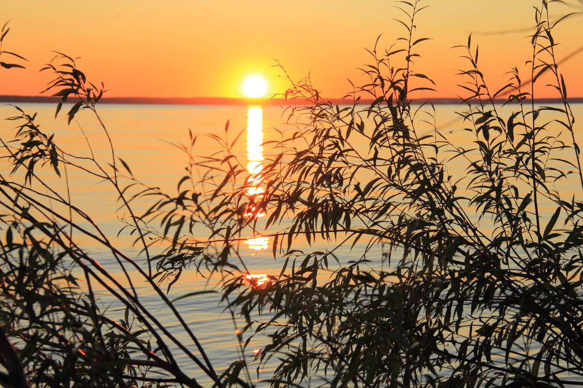 Закат - Евгений Корьевщиков Закат - Евгений Корьевщиков