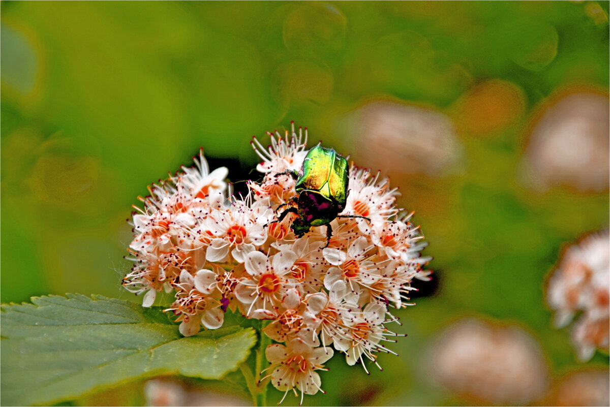 ЛЕТО - Юрий Владимирович 34
