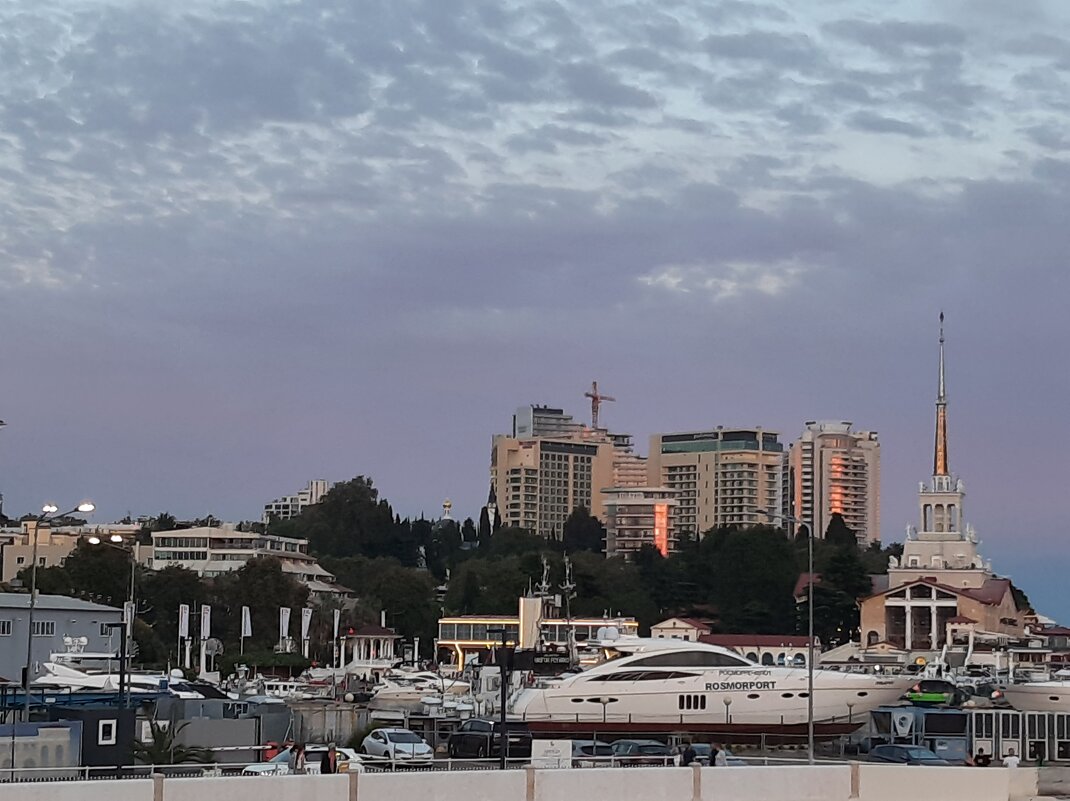 СОЧИ СЕГОДНЯ - Tata Wolf