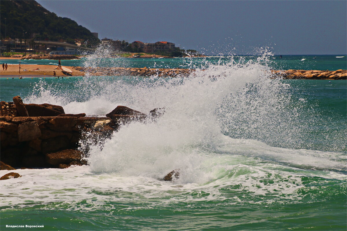 Хайфа 2025 - Владислав Воровский Хайфа 2025 - Владислав Воровский