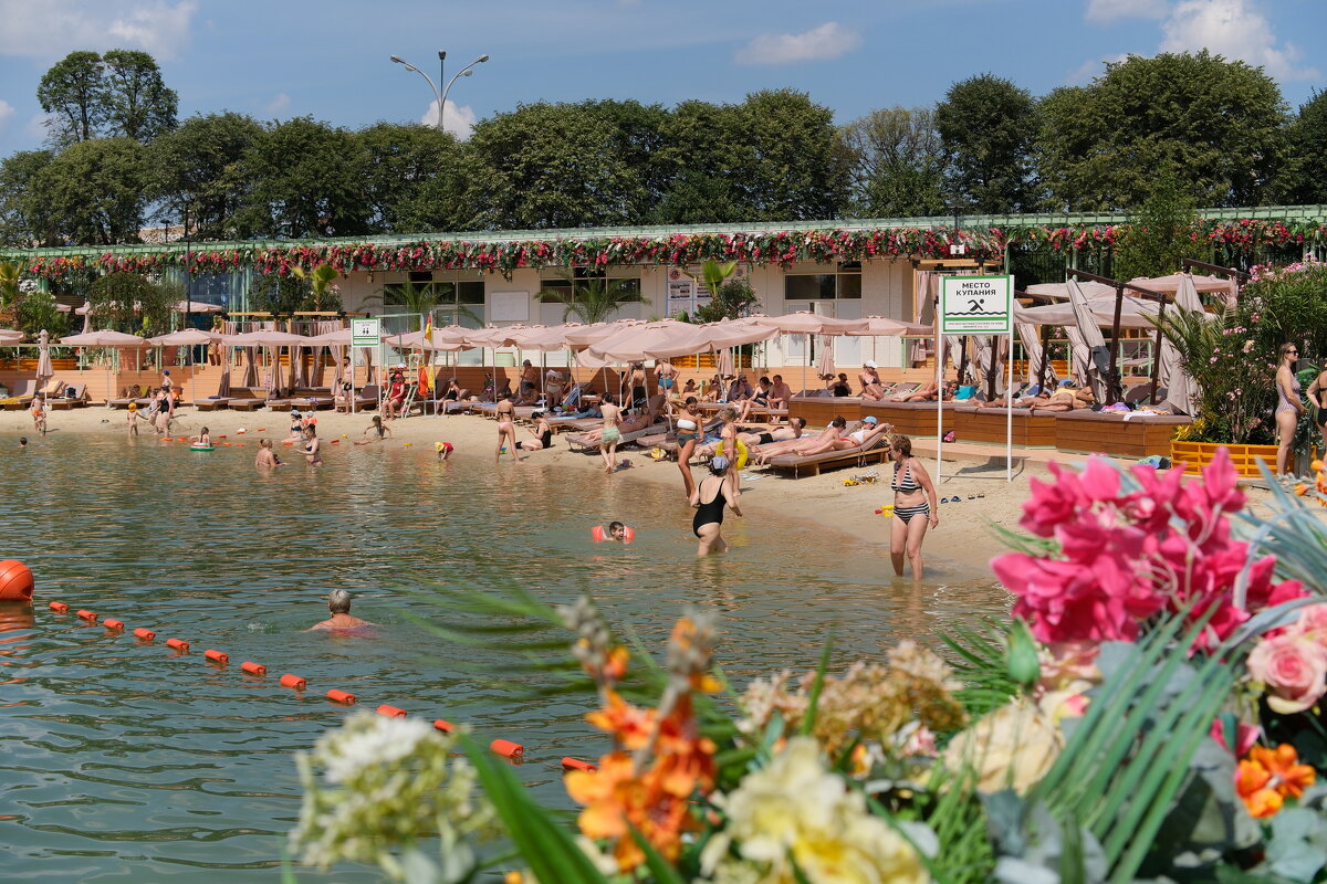 Москва, парк Горького. - Лютый Дровосек Москва, парк Горького. - Лютый Дровосек