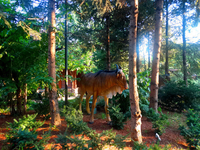 Отдых на донской земле (12)... - Тамара (st.tamara)