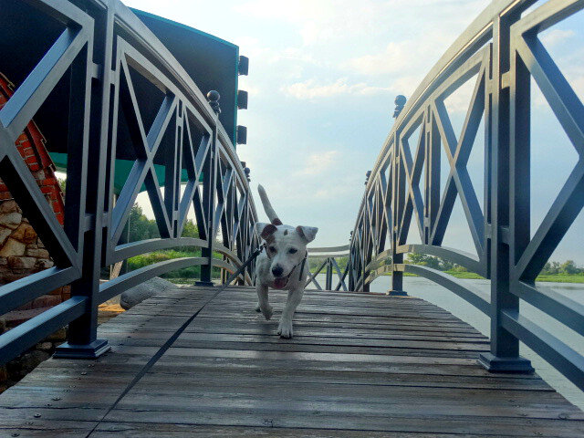 Отдых на донской земле (14)... - Тамара (st.tamara)