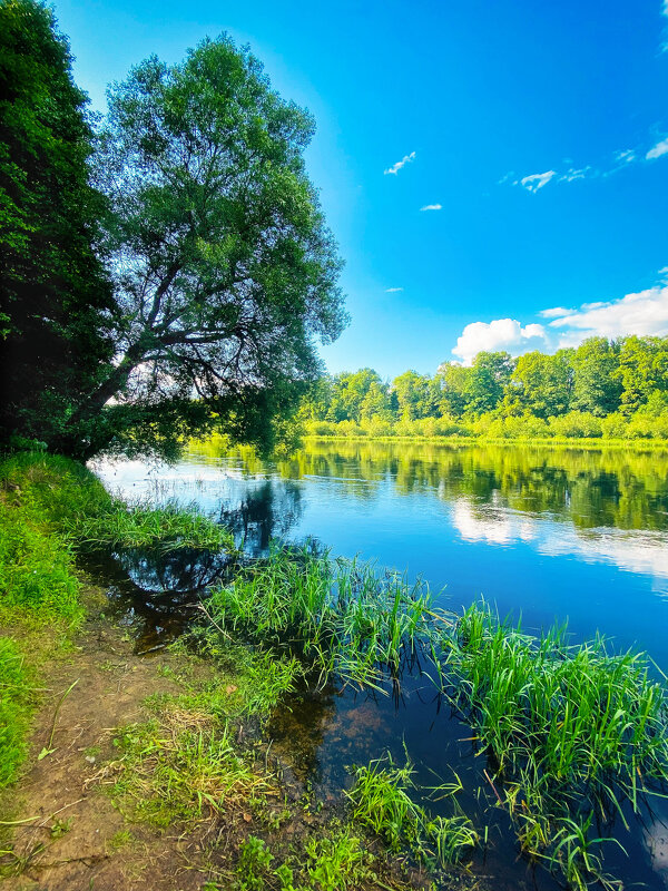 *** - Игорь Чичиль *** - Игорь Чичиль