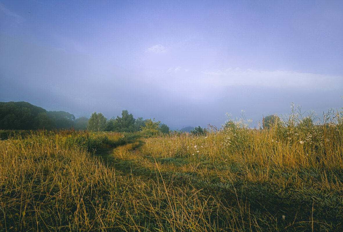 Просторы Жуковского района, Нешковичи - Sergei Vikulov