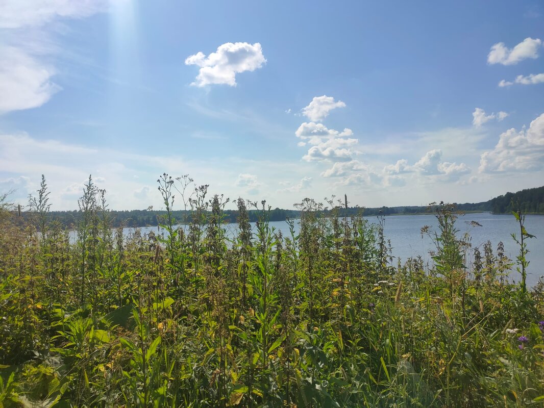 "С неба смотрятся облака" - Ирэн 