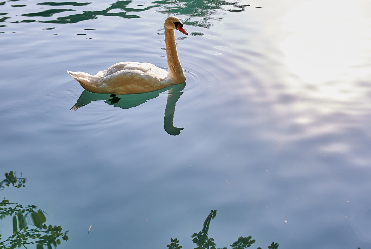 ОТражение в воде - Александр Леонов