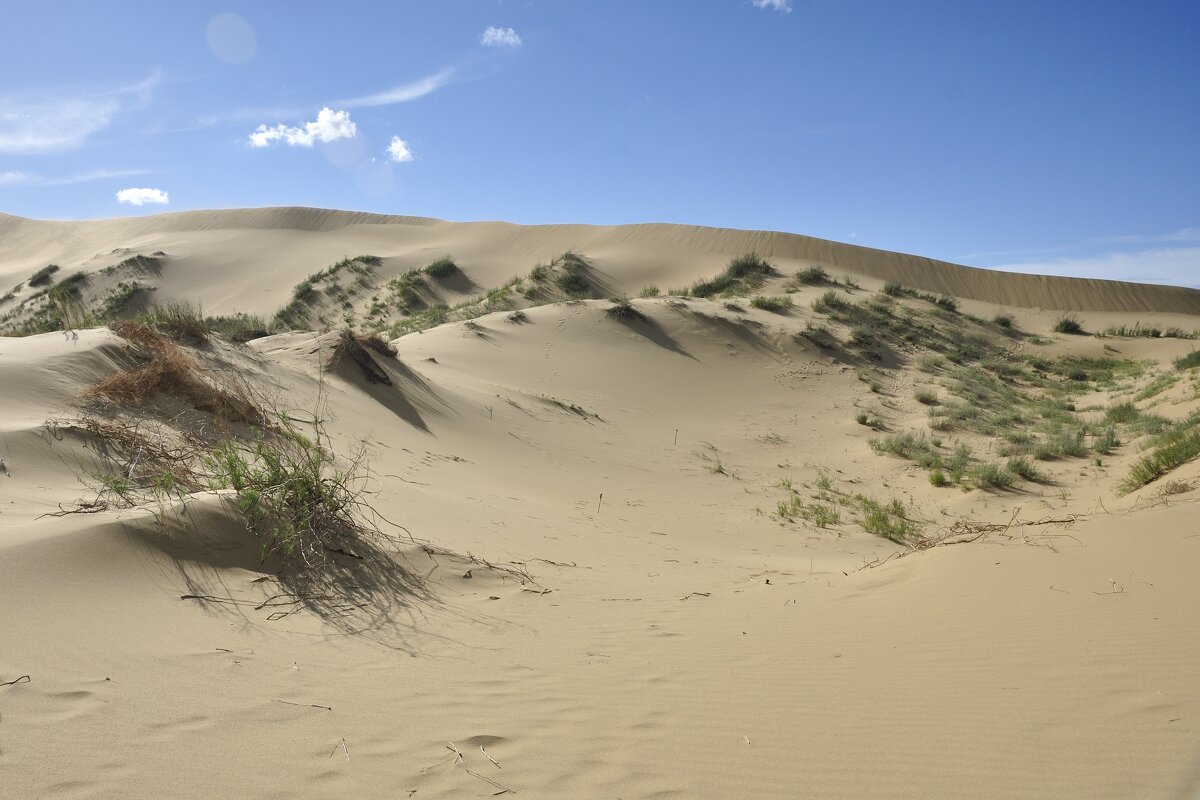 Большая песчаная дюна среди Дагестана - Марина Виноградова Большая песчаная дюна среди Дагестана - Марина Виноградова