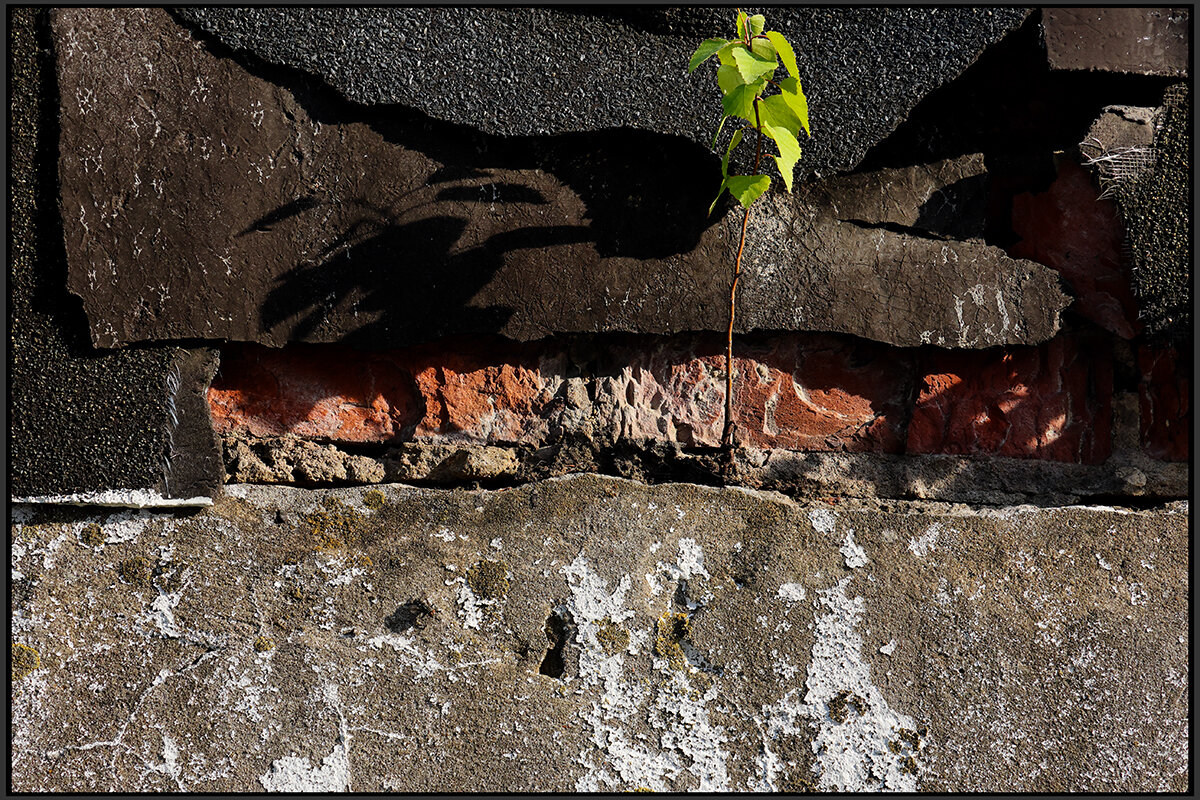 *** - Сергей Премонишын *** - Сергей Премонишын