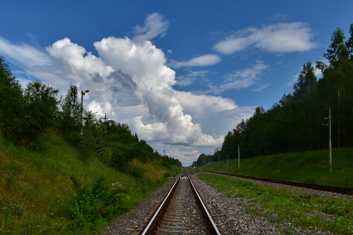Где-то под Вязьмой - Роман Пацкевич Где-то под Вязьмой - Роман Пацкевич