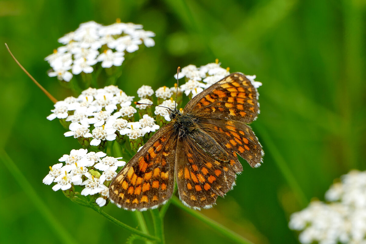 из вчерашней съемки 3 - Александр Прокудин