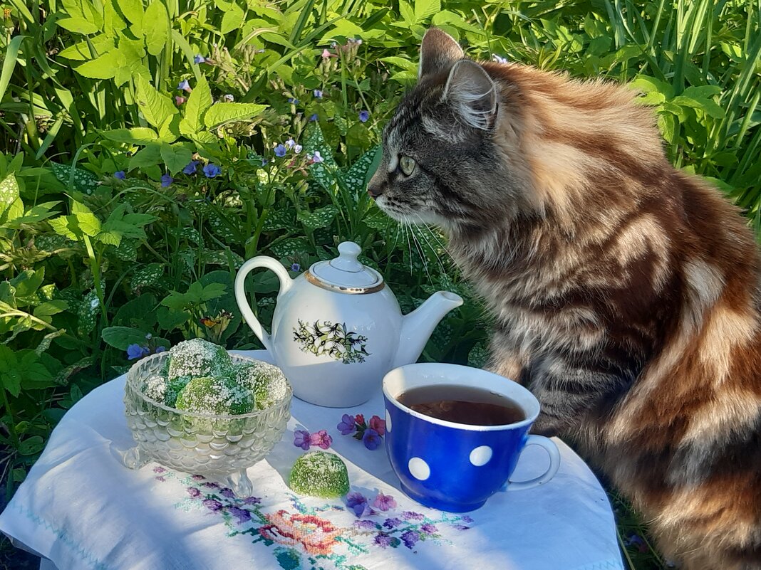 Кто то идёт ко мне на чай! - Нина Андронова