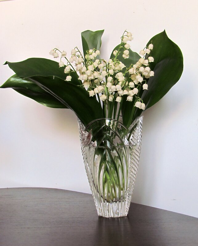 Мимоходом... - Роман Савоцкий