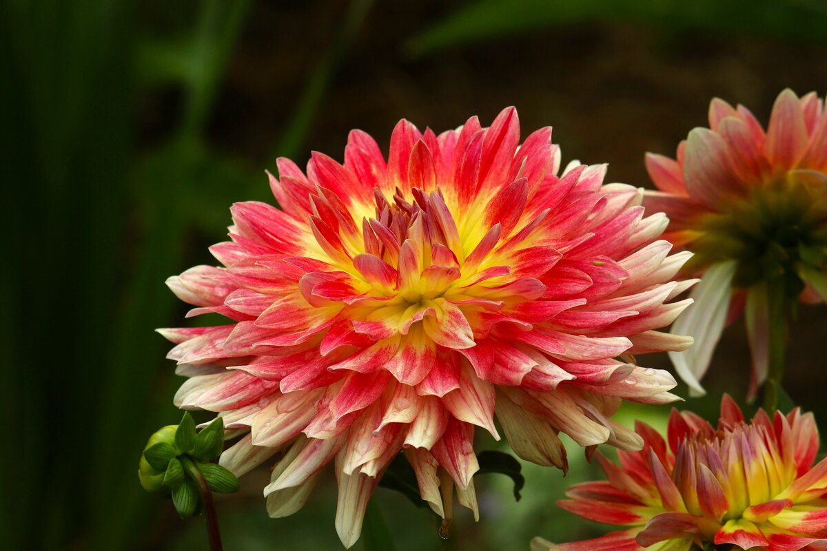 Доброе утро - Юрий. Шмаков Доброе утро - Юрий. Шмаков