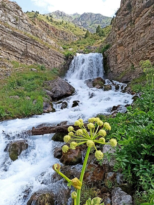 ВОДОПАДЫ. - Виктор Осипчук