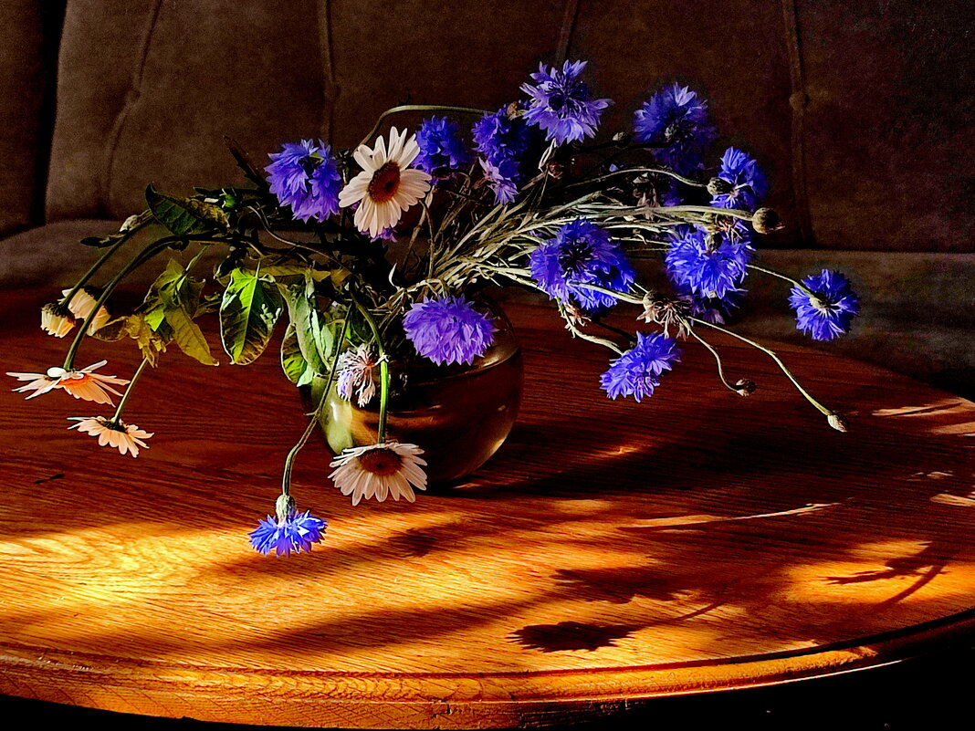 Ранний лучик - Валентина Богатко 