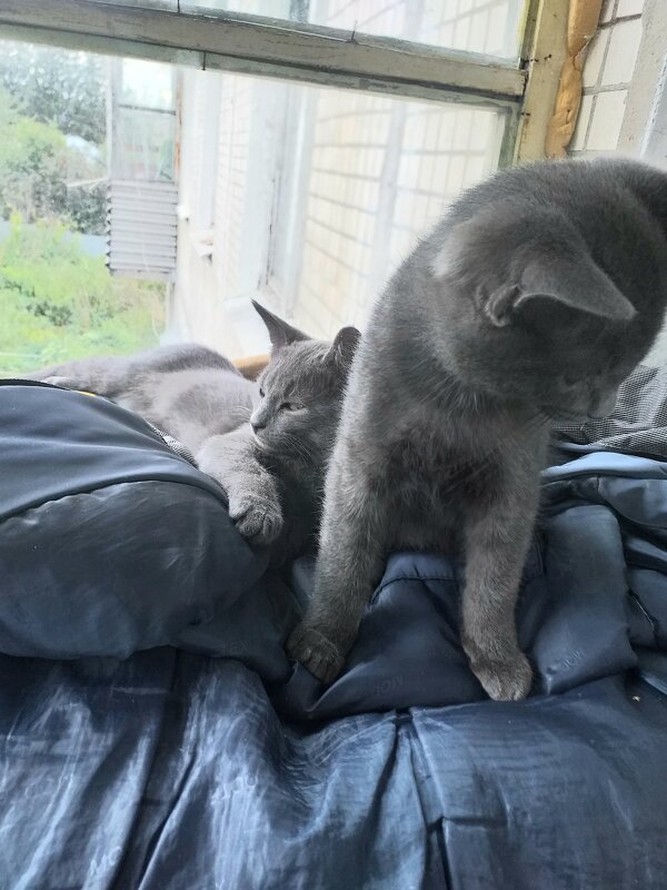 \\\\ - Галина Флора