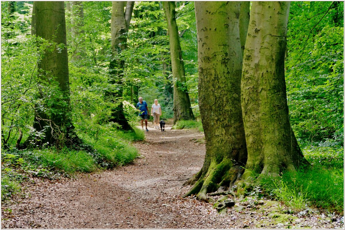 НА ПРОГУЛКЕ... - Elvira E. 