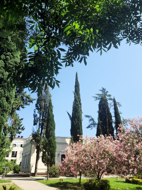 СОЧИ СЕГОДНЯ - Tata Wolf