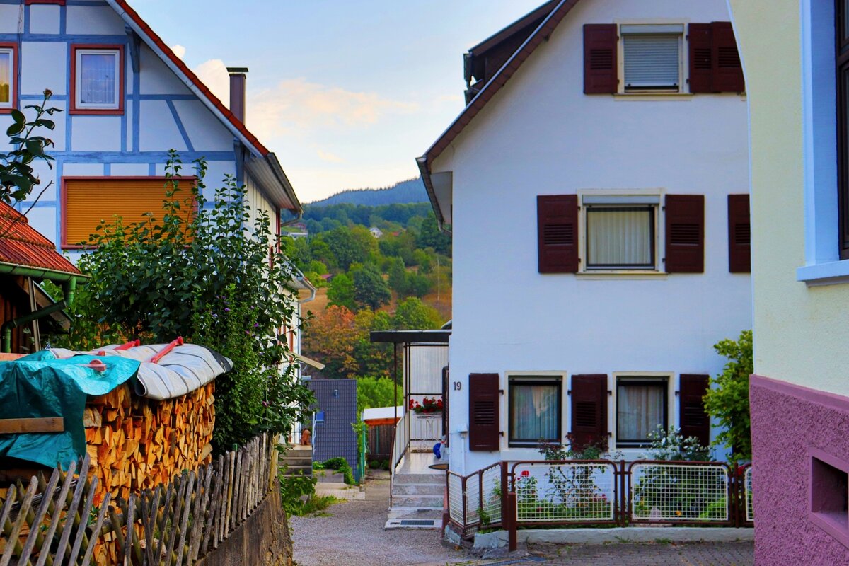 Из серии " Утро в деревне" - Юрий. Шмаков Из серии " Утро в деревне" - Юрий. Шмаков