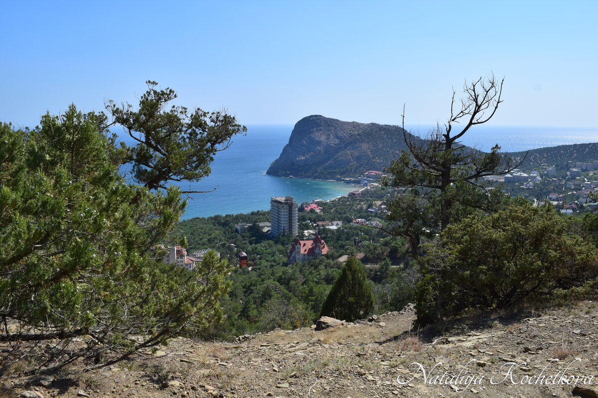 Природа Крыма - Amazing Cosmea