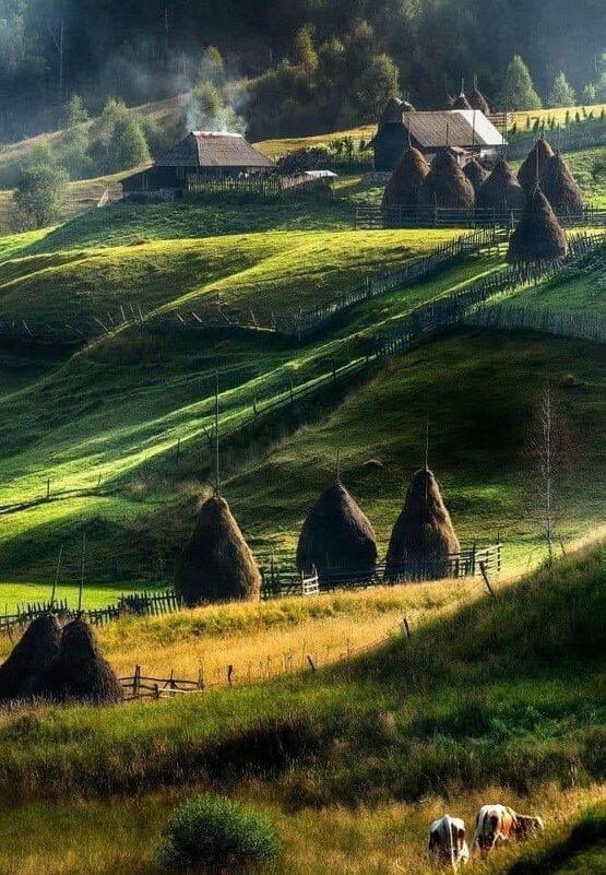 Карпати - Степан Карачко