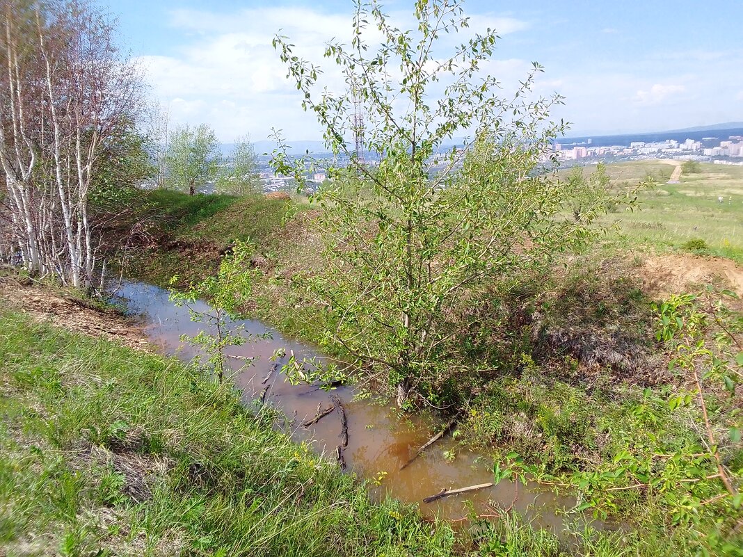 Гора "Титовская сопка" - Екатерина Панова Гора "Титовская сопка" - Екатерина Панова