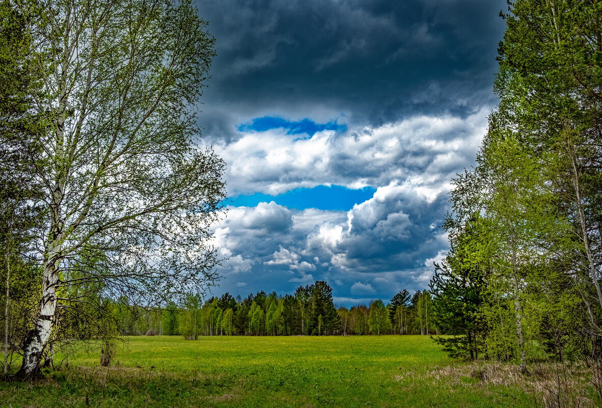 Весенняя - александр Весенняя - александр