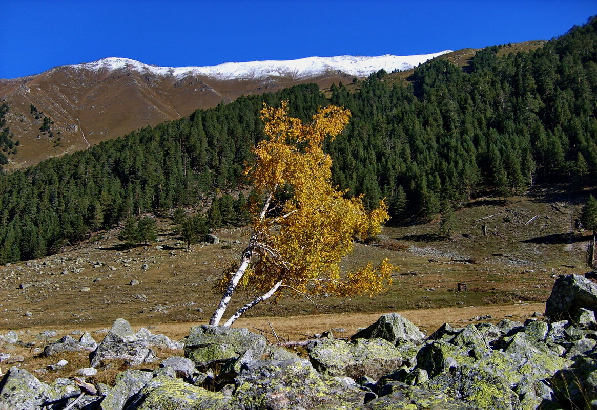 В горах К.-Ч.  Р - 13 - Анатолий Стрельченко