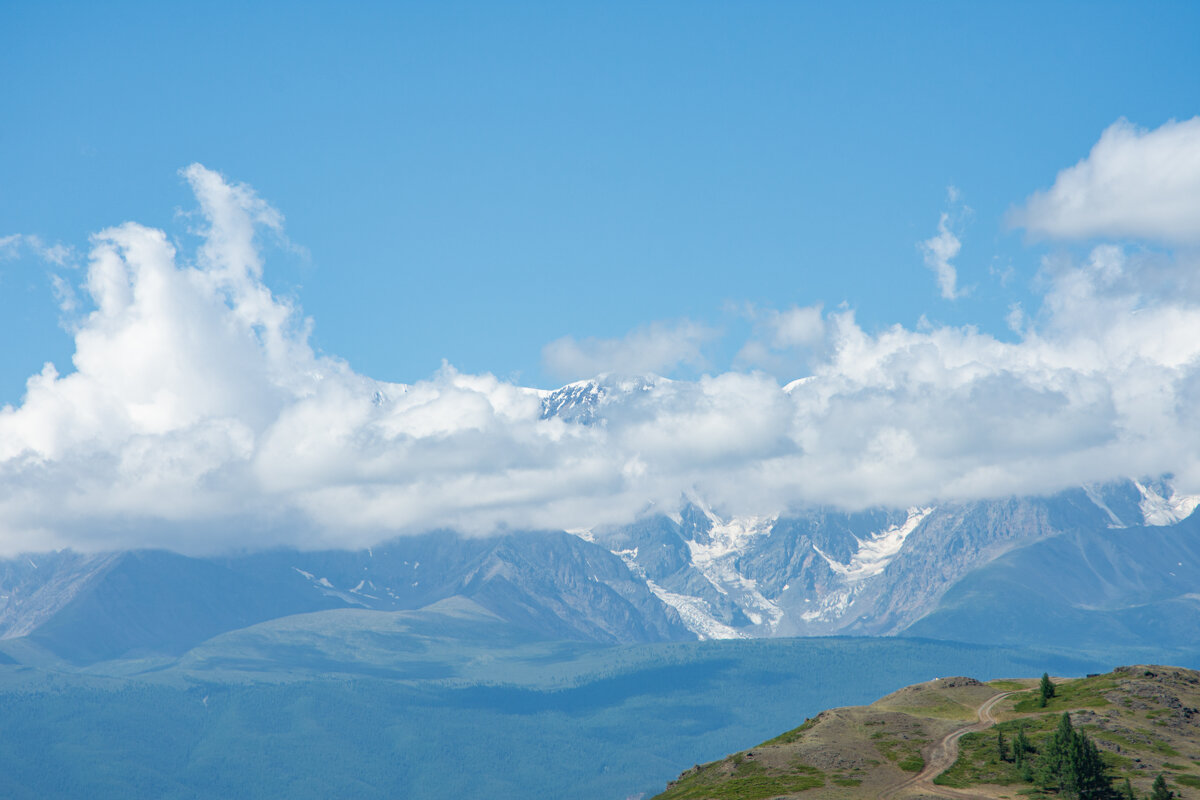 *** - Николай Чекалин