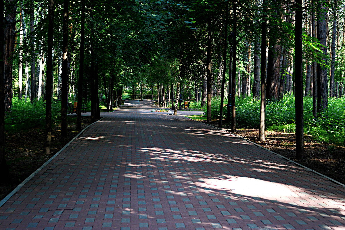 *** - Александр 