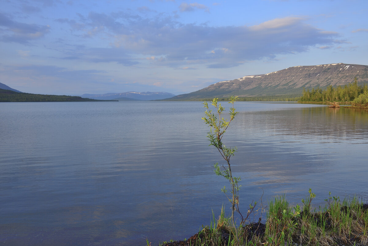 *** - Александр Хаецкий