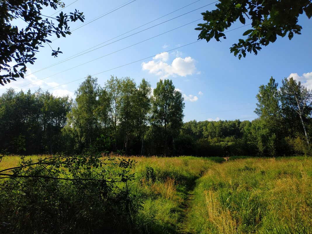 Июль уходит - Андрей Лукьянов