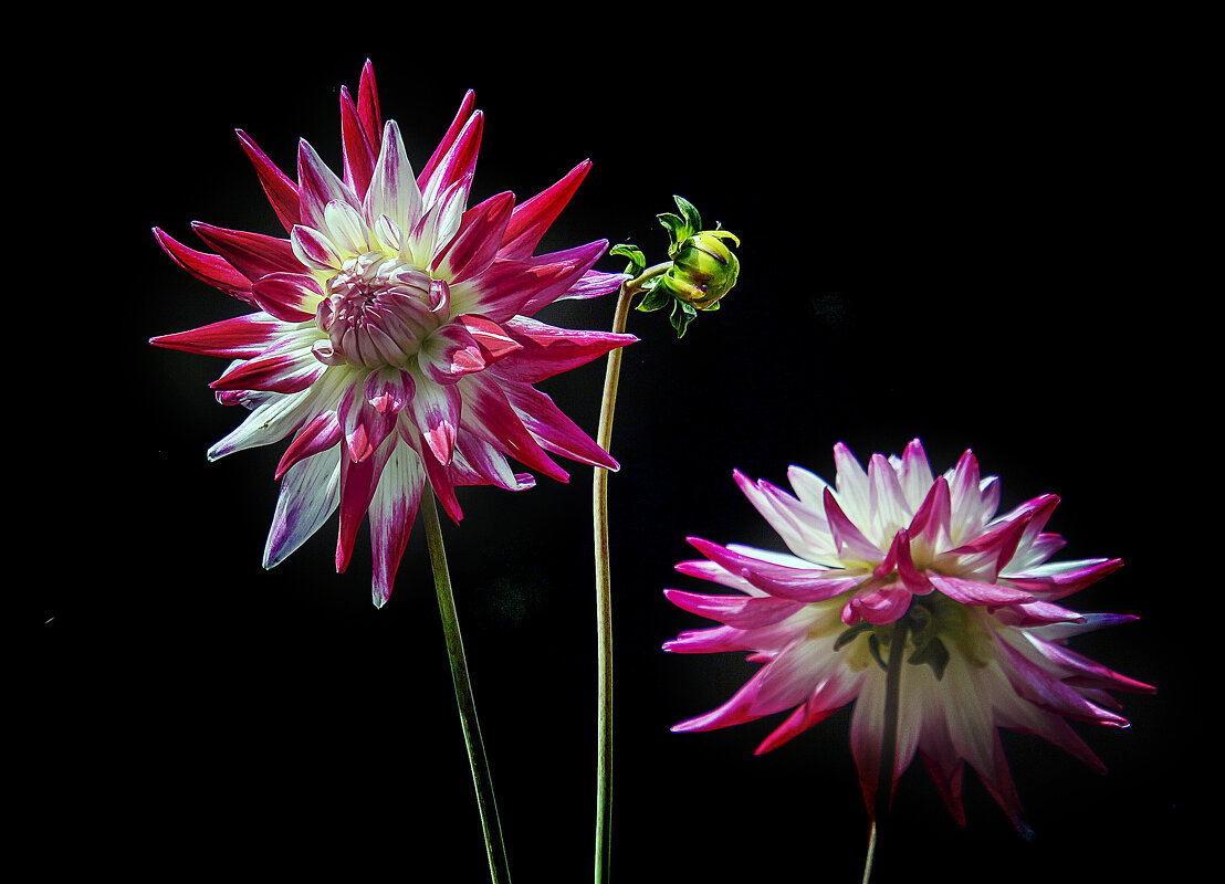 ***** - Андроник Александр 