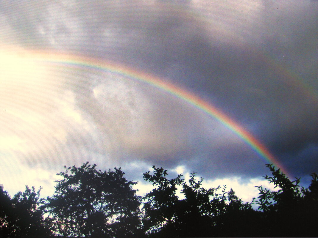 После грозы - Людмила Смородинская После грозы - Людмила Смородинская