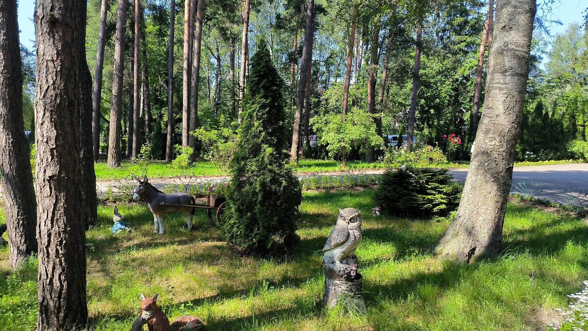 Прогулка по Зеленогорску. - Ольга 